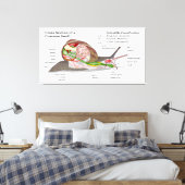 Schema van een gemeenschappelijke tuinslak (Helix  Canvas Afdruk (Insitu (Slaapkamer))