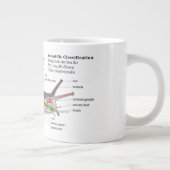 Schema van een gemeenschappelijke tuinslak (Helix Grote Koffiekop (Rechts)