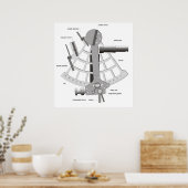 Schema van een marien extant poster (Keuken)