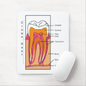 Schema van een menselijke tand muismat (Met muis)