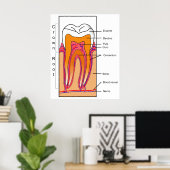 Schema van een menselijke tand poster (Thuiskantoor)
