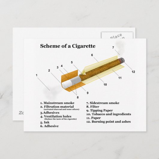 Schema van een sigaret voor tabak briefkaart (Voorkant / Achterkant)