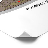 Schema van een slakkegelaar Apersa Mollusk Poster (Hoek)