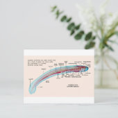 Schema van een Zee Lamprey Soort Larva Briefkaart (Staand voorkant)