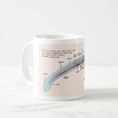 Schema van een Zee Lamprey Soort Larva Koffiemok (Voorkant links)