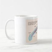 Schema van een Zee Lamprey Soort Larva Koffiemok (Links)