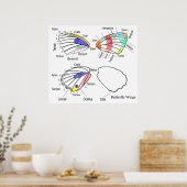 Schema van elke sectie van de vlindervleugels poster (Keuken)