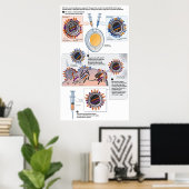 Schema van genetische reassortiment voor vaccins poster (Thuiskantoor)