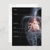 Schema van het ademhalingssysteem en het hart briefkaart (Voorkant / Achterkant)