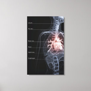 Schema van het ademhalingssysteem en het hart canvas afdruk
