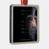 Schema van het ademhalingssysteem en het hart metalen ornament (Rechts)