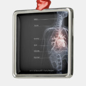Schema van het ademhalingssysteem en het hart metalen ornament (Links)