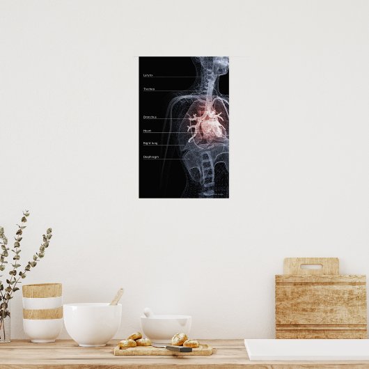 Schema van het ademhalingssysteem en het hart poster (Keuken)