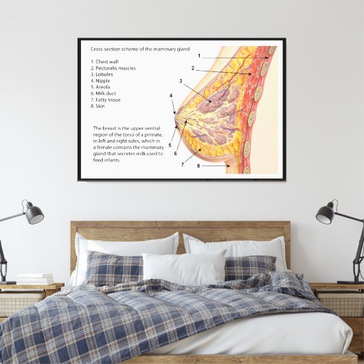 Schema van het kruisje van de borstklier canvas afdruk (Insitu (Slaapkamer))
