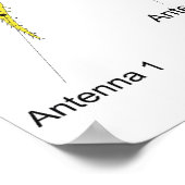 Schema van het lichaamsplan van een amfipod poster (Hoek)