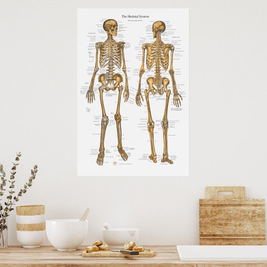 Schema van het skeletsysteem bij mensen met ligame poster (Keuken)