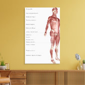 Schema van het spierstelsel canvas afdruk (Insitu (Woonkamer))