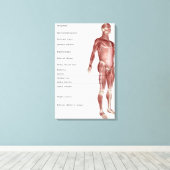 Schema van het spierstelsel canvas afdruk (Insitu (Houten vloer))