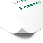 Schema van het spijsverteringsstelsel poster (Hoek)