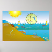 Schema van het watereutrofiëringsproces poster (Voorkant)