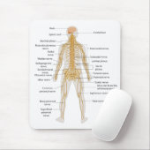 Schema van het zenuwstelsel van het menselijk lich muismat (Met muis)