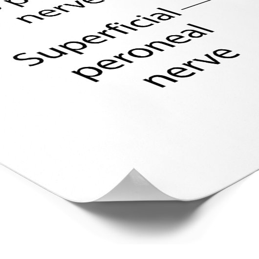 Schema van het zenuwstelsel van het menselijk lich poster (Hoek)