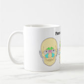 Schema van humaan paranasaal Sinussen Koffiemok (Links)