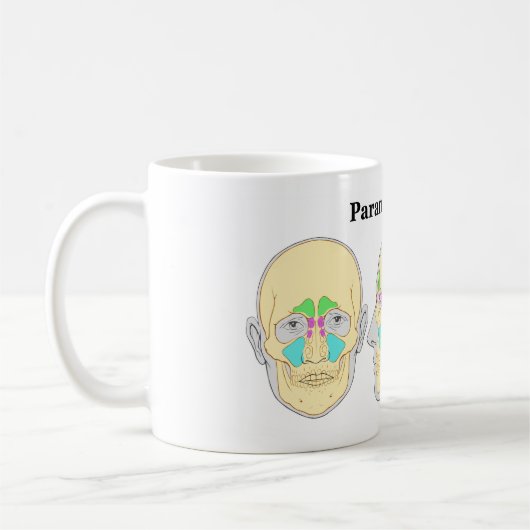 Schema van humaan paranasaal Sinussen Koffiemok (Links)