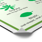 Schema van lebmorfologische vormgeving Venatiemarg Poster (Hoek)