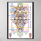 Schema van levenscyclus | Alle grootten Poster (Voorkant)