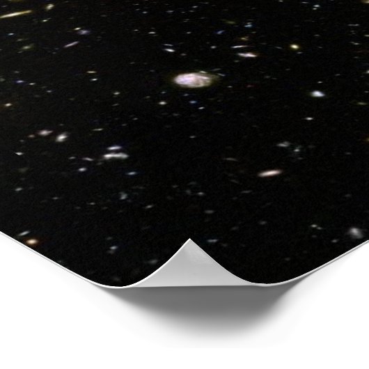 Schema van levenscyclus met Hebreeuws en Engels Poster (Hoek)