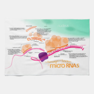 Schema van microRNA Theedoek