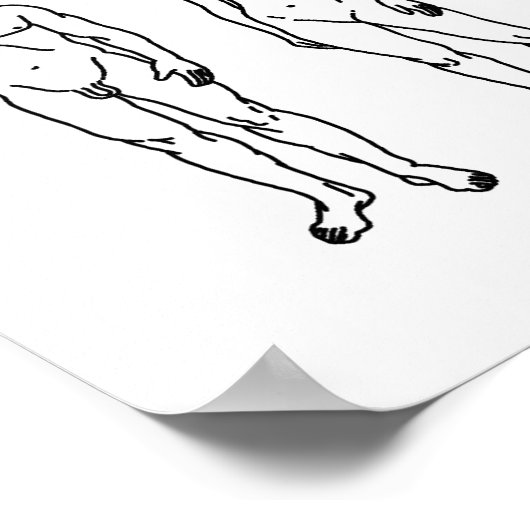 Schema van NASA Space Sattelite Pioneer 10 Poster (Hoek)