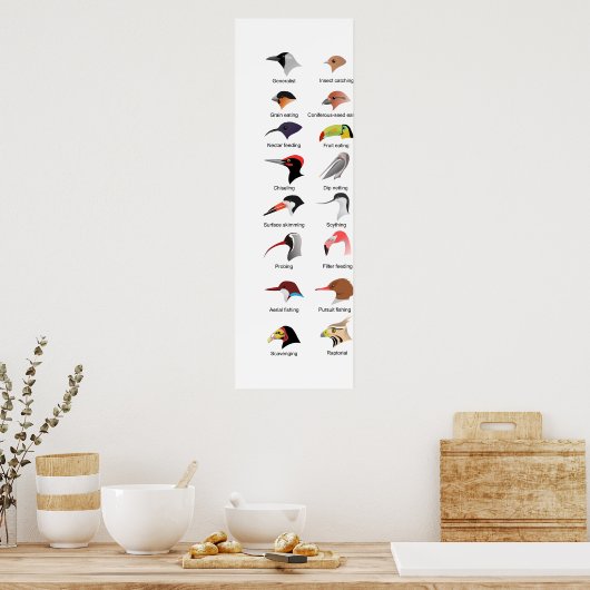 Schema van verschillende vogelgriepaanpassingen poster (Keuken)