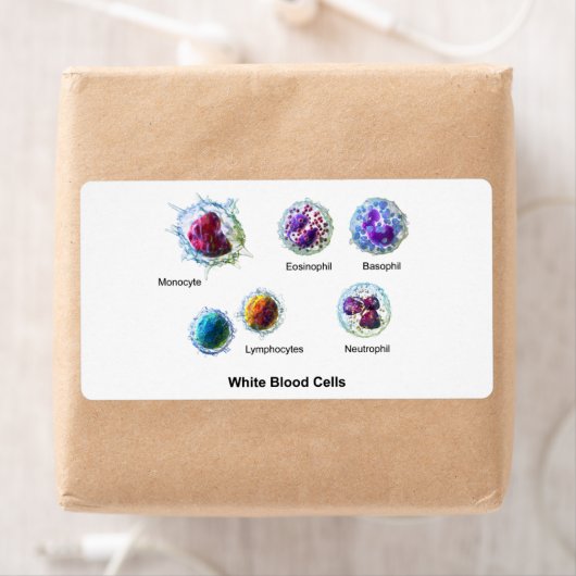 Schema van witte bloedcellen Leukocyten Etiket (Insitu)