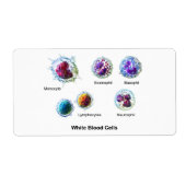Schema van witte bloedcellen Leukocyten Etiket (Voorkant)