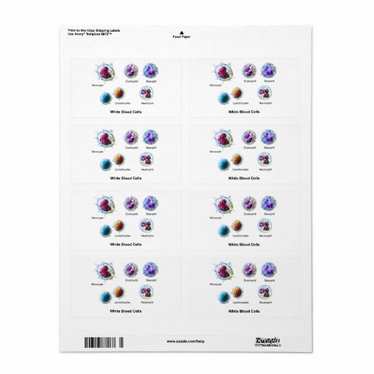 Schema van witte bloedcellen Leukocyten Etiket (Full Sheet)