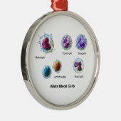 Schema van witte bloedcellen Leukocyten Metalen Ornament (Rechts)