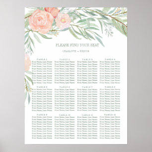 Schema voor de aanloopklep van de Waterverf Poster