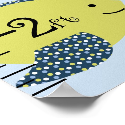 Schema voor de groei van de levenscyclus van schil poster (Hoek)