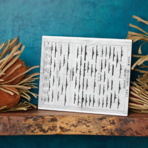 Schema voor de herkenning van oorlogsschepen in de fotoplaat