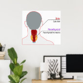 Schema voor de kalkhuishouding van het humane endo poster (Thuiskantoor)
