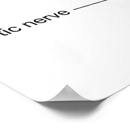 Schematisch anatomisch diagram van het menselijk o poster (Hoek)