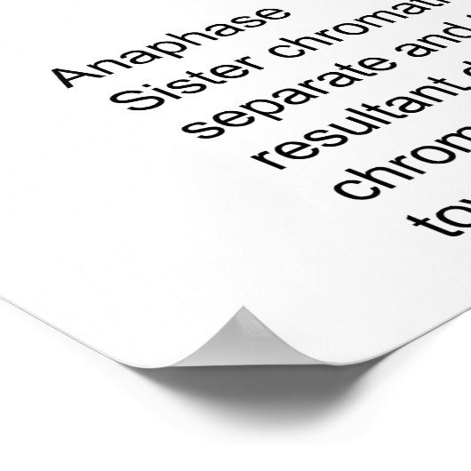 Schematisch diagram van cellulaire mitose poster (Hoek)