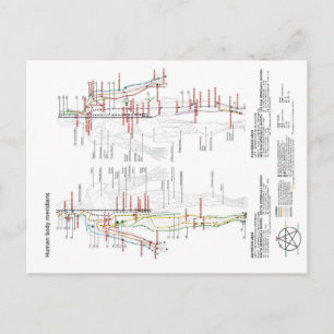 Schematische Grafiek Chinese Meridians Briefkaart