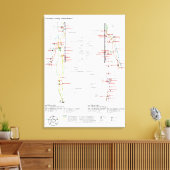 Schematische Grafiek Chinese Meridians Canvas Afdruk (Insitu (Woonkamer))