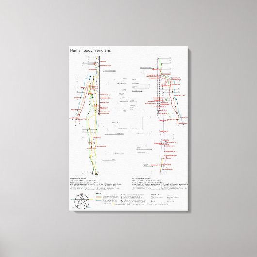 Schematische Grafiek Chinese Meridians Canvas Afdruk (Voorkant)