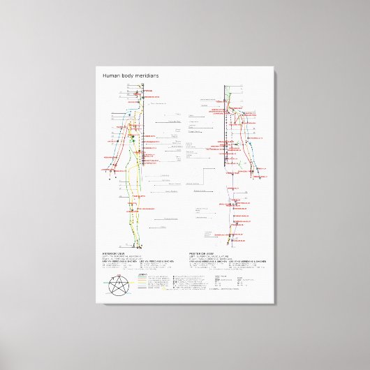 Schematische kaart Chinese menselijke lichaamsmeri Canvas Afdruk (Voorkant)