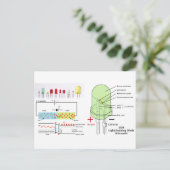 Schematische led-lichtemitterende diode briefkaart (Staand voorkant)