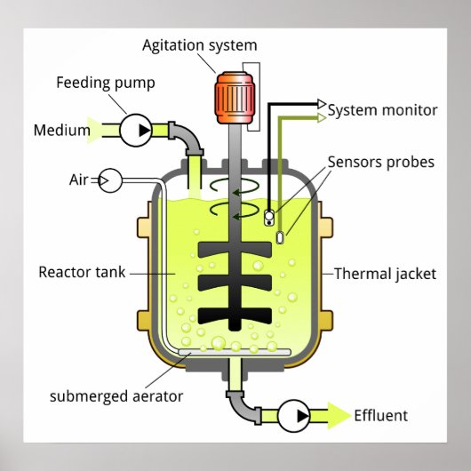 Schematische structuur van een bioreactor van het  poster (Voorkant)